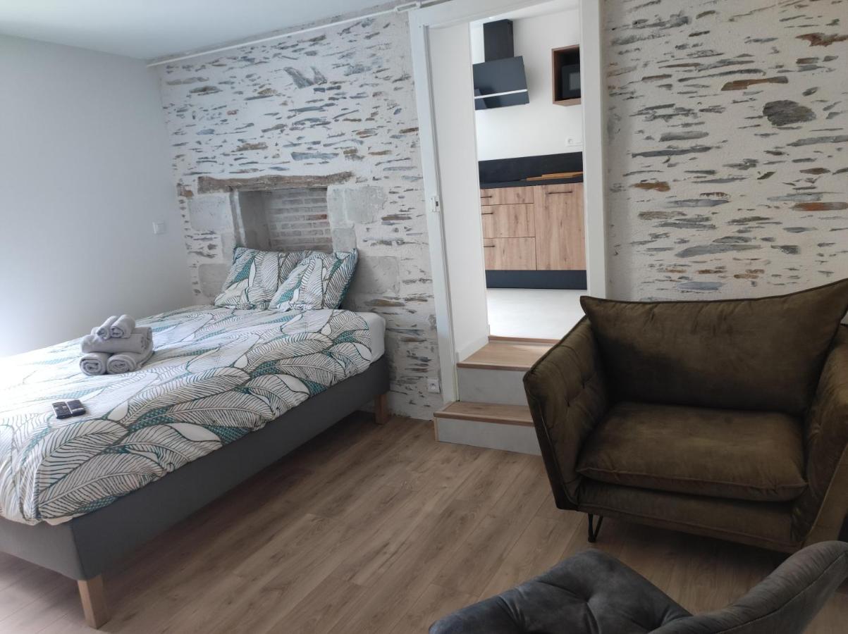 La Douce Angevine - La Perruche - Proche Centre Apartment อองเชร์ ภายนอก รูปภาพ